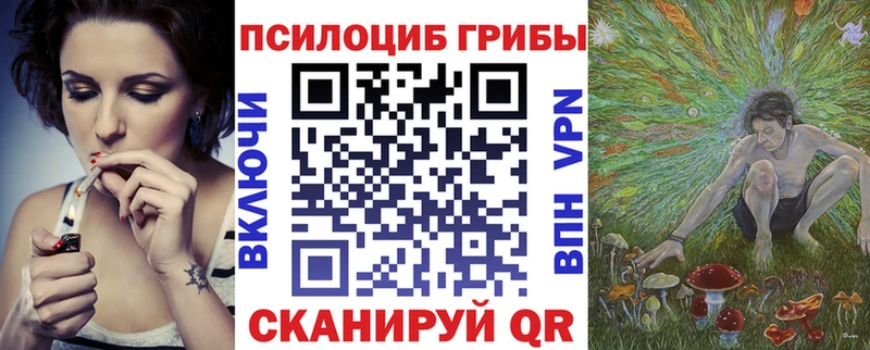 Галлюциногенные грибы прущие грибы где продают наркотики Гаджиево